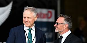 Joe Schmidt turned down a return to the All Blacks.