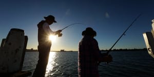 Fishers warned not to eat crabs,fish and shellfish from Mindarie Marina