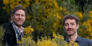 Psychae Institute co-directors Jerome Sarris and Daniel Perkins with acacia,a native Australian plant containing DMT,a key ingredient used in ayahuasca preparations.