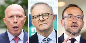 Anthony Albanese’s success over Peter Dutton and Adam Bandt has been well received by corporate Australia. 