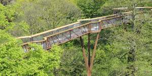 Walk with a view – the Treetop Walkway.