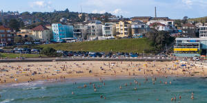 Shark nets installed at Bondi and Bronte beaches do not span the length of the beaches.