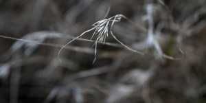 Measures meant to protect our last grasslands are seeing them trashed