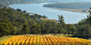 Seven reasons why Tasmania's Tamar Valley is better to visit than France's Champagne