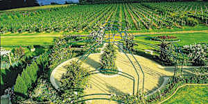 The vineyards at the Morning Star Estate,Mount Eliza.