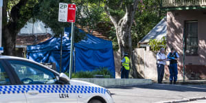 Boy,3,killed after being hit by car near Glebe childcare centre