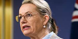 Deputy Liberal leader Sussan Ley.