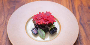 Beef with beetroot,blackberry and horseradish.