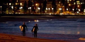 Shark alarm causes commotion on Manly beach