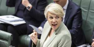 Federal Environment Minister Tanya Plibersek refused Victoria’s application to base an offshore wind hub at Hastings.