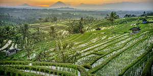 A different view … rice terraces in Tabanan.
