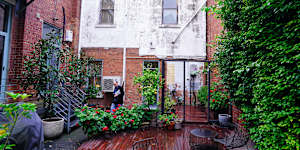 The lush communal garden at 116 Stephen Street.