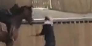 The shocking video that shows Olympic champ whipping horse ‘like an elephant in the circus’