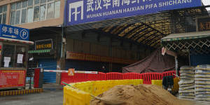 The Wuhan Huanan Wholesale Seafood Market,where the novel coronavirus is believed to have originated.