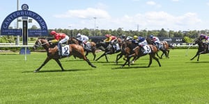 History could show Militarize’s win at Canterbury could be one of the best maidens in Australia as Queen Of Dragons and Wymark emerge as group 1 contenders.