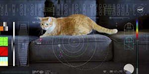 A frame from a 15-second ultra-high-definition video featuring a cat named Taters which was streamed via laser from deep space by NASA on December 11.