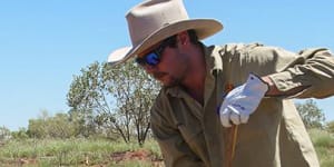 Indigenous science in spotlight as desert grass leads to biotech breakthrough