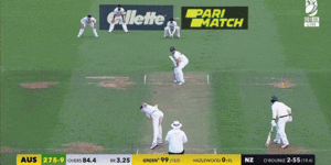 The moment:Cameron Green brings up a Test century in Wellington.
