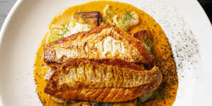 Pesce del giorno,market fish,guazzetto di gamberi,fennel,parsnip.