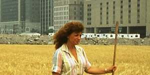 Agnes Denes’ Wheatfield in 1982.