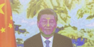 Chinese President Xi Jinping makes a video address at the opening of the high level segment at the COP15 biodiversity conference last Thursday.