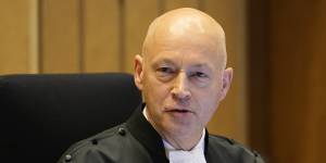 Presiding judge Hendrik Steenhuis speaks during the verdict session of the Malaysia Airlines Flight 17 trial.