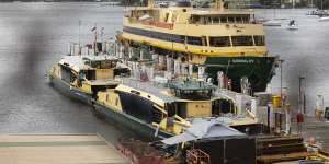 The Ruth Park ferry,in the foreground,is tied up at the Balmain shipyard on Tuesday. 