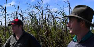 Richmond River cane farmers,Geoff Pye and son Max from Coraki,inspect debris in drowned cane farms after the Lismore floods. 