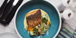 Murray cod with fennel,orange and cucumber.