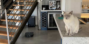 Marvin the robot vacuum cleaner (left) heads back to base as Soda the cat keeps a respectful distance.