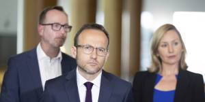 Greens leader Adam Bandt has refused to say whether he is investigating accusations of verbal abuse by one of his Mps.