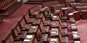 Senator Pauline Hanson sits alone during a vote opposing a motion condemning comments made by Bettina Arndt.