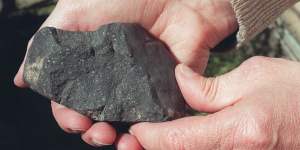 A fragment of the Murchison meteorite