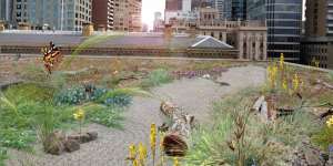Artist's impression of the green roof at 1 Treasury Place
