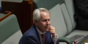 Labor MP Andrew Giles said Australians should not be pitted against other Australians for repatriation.