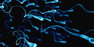 Sperm donation was shrouded in secrecy from the beginning.