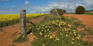 Merredin,Western Australia:Travel guide and things to do