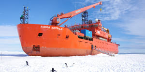 Aurora Australis faces voyage to wrecker without a last-minute rescue