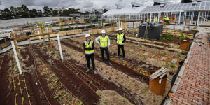 'World’s most sustainable shopping centre'takes root in the suburbs