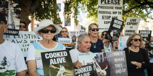 'Beyond belief':Live export corruption inquiry ends in dead end