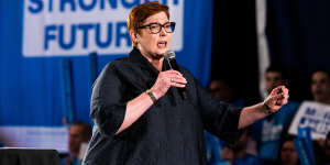 Former foreign affairs minister Marise Payne.