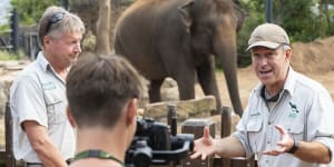 Hayden Turner,Taronga Zoo's manager of guest experiences,right,interviews elephant keeper Darryl Lewry,left,while Guy Dixon films an episode for Taronga TV on Wednesday.