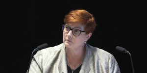 Former foreign minister Marise Payne is retiring from politics.