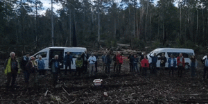 Thirty scientists from around the world were shocked at Australia’s forestry management.