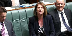 Opposition health spokeswoman Catherine King in Question Time today.