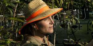 Senior Horticulturist at The Australian Botanic Gardens Lesley Neuhold,inspects a plant for myrtle rust.