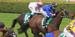 While the Melbourne Cup remains Australia’s premier thoroughbred race,Royal Randwick’s The Everest (pictured) is trying hard to steal its thunder.