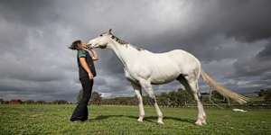 Veterinary nurse Molly Stewart with retired racehorse Chautauqua at Living Legends.