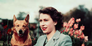 Queen Elizabeth II of England at Balmoral Castle with one of her Corgis,in 1952,the year she became Queen.