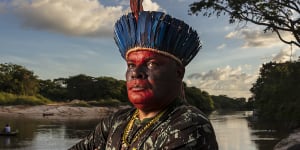 'Rainforest mafias'are killing Brazil's indigenous people:report